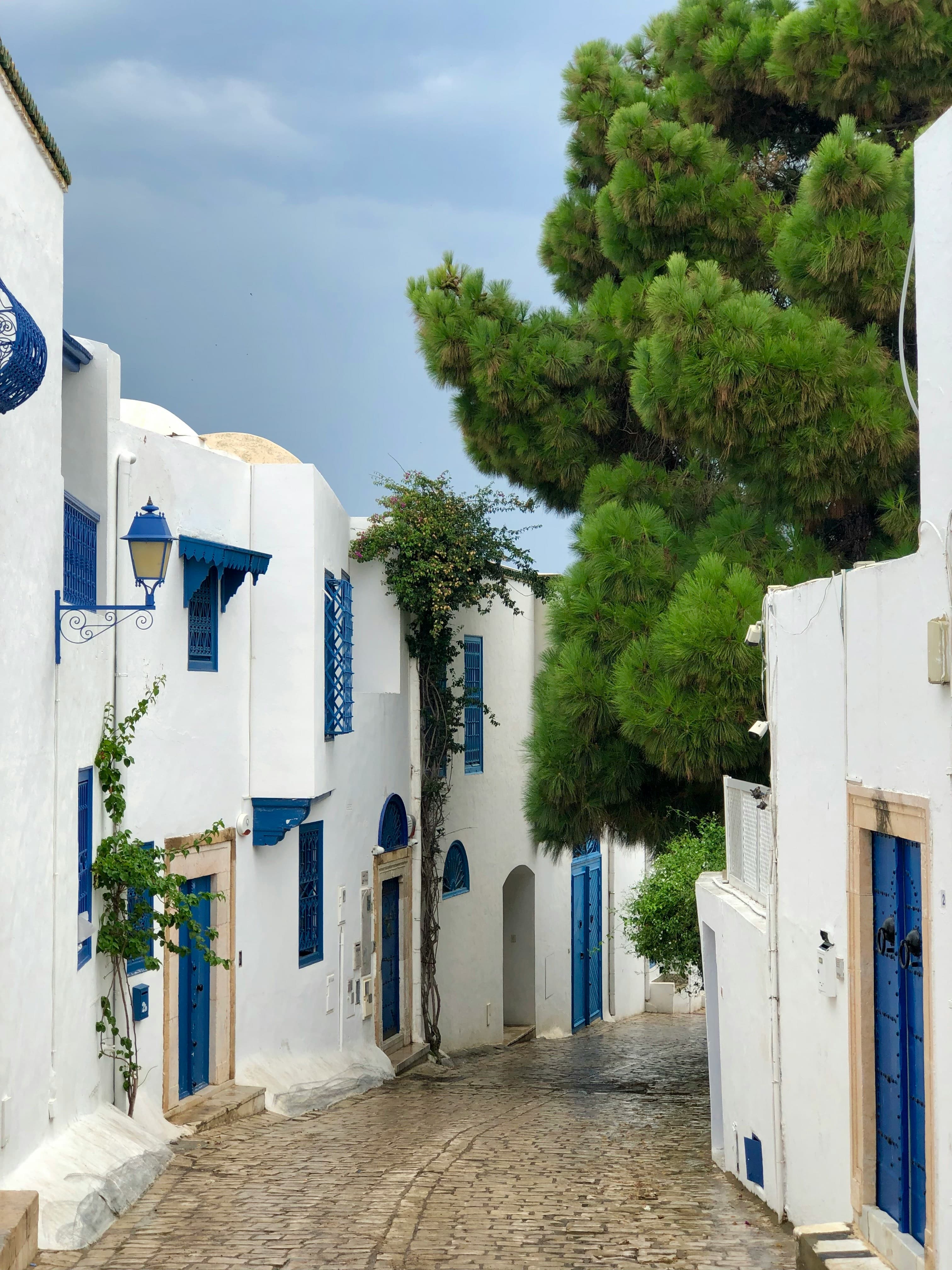 White and blue architecture in Sidi Bou Said, Tunisia