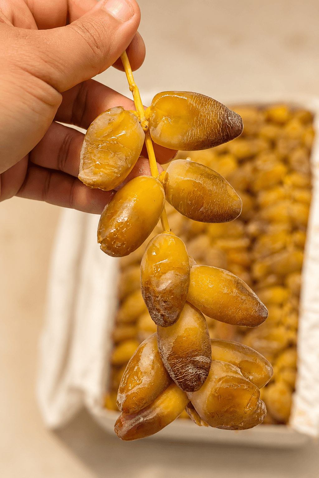 Dates on the branch