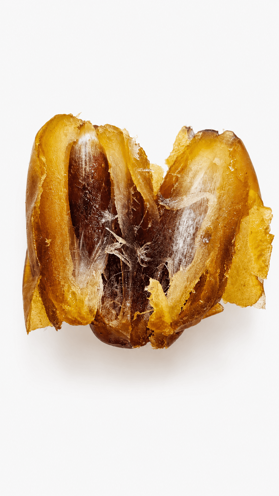 Opened Deglet Nour date showing its natural interior and stone